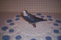100_6729.jpg