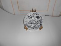 DSCN0334.JPG