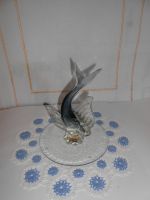 DSCN1028.jpg