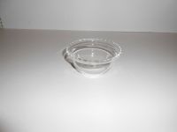 DSCN2518.JPG