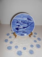 DSCN2895.JPG
