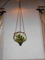 DSCN3247.JPG
