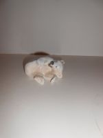 DSCN3567.JPG
