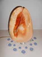 DSCN3727.JPG