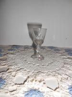 DSCN4230.JPG