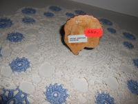 DSCN4705.JPG