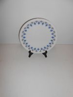 DSCN4737.JPG