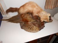 DSCN5473.JPG