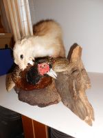 DSCN5475.JPG