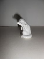 DSCN5556.JPG