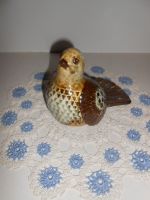 DSCN5627.JPG