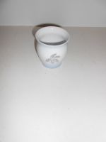 DSCN5781.JPG