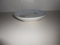 DSCN5802.JPG