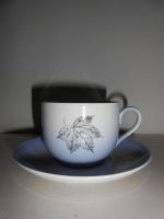 DSCN5804.JPG
