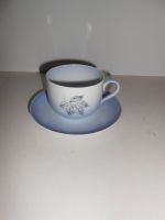 DSCN5805.JPG