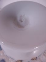 P1000557.JPG